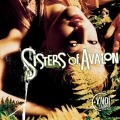 Cyndy Lauper - Sisters of Avalon